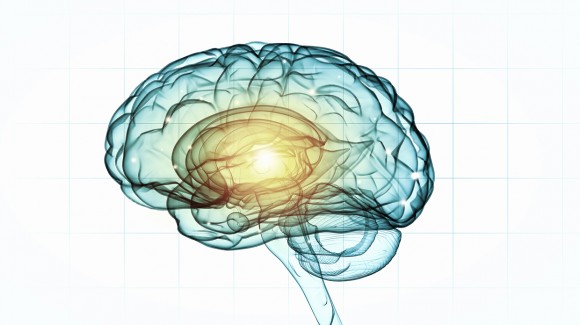 Sept conseils pratiques pour entretenir sa mémoire et prévenir Alzheimer