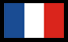 Drapeau français sélectionné