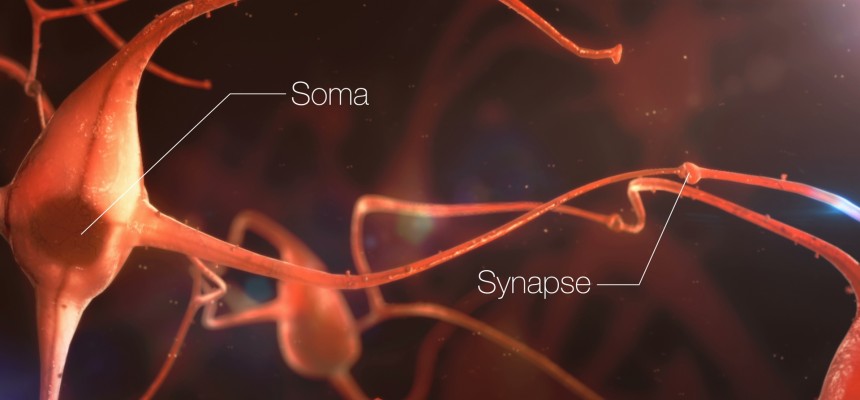 Alzheimer : nouveau regard sur les protéines grâce à la vision en 3D des synapses