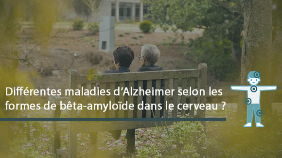 Différentes maladies d’Alzheimer selon les formes de bêta-amyloïde dans le cerveau ?